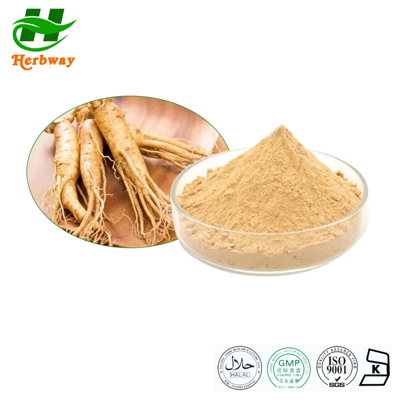 Herbway Factory Directly Sale Ginsenosides Powder Health Supplement American Ginseng Root Extract for Pharmacy