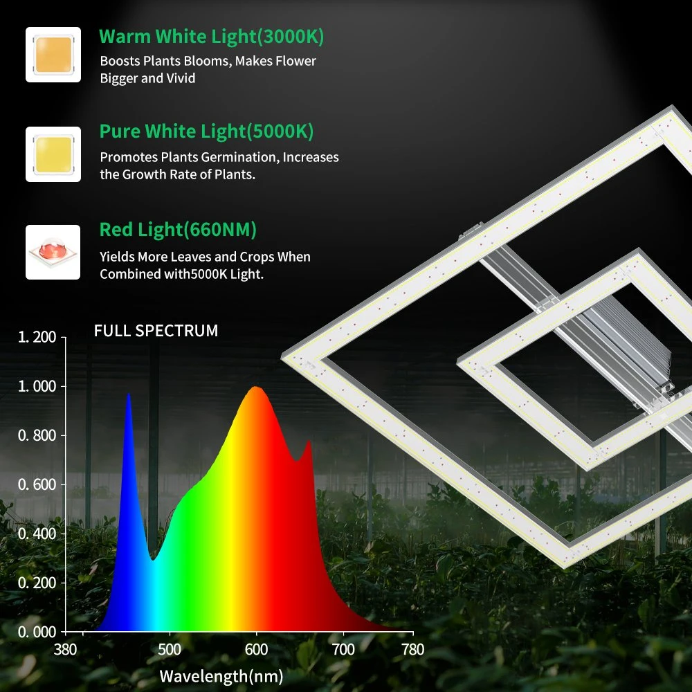 Medical Plants Indoor Cultivation High Ppfd 1000W 8000W 680W Full Spectrum LED Grow Light for Blooming Veg Flower