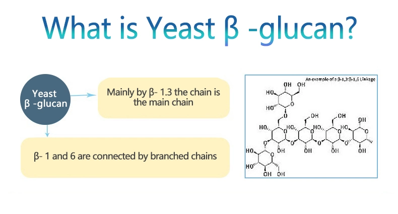 Factory Sale Food Grade Gel 1 3 1 6 Saccharomyces Cerevisiae Beta Glucan