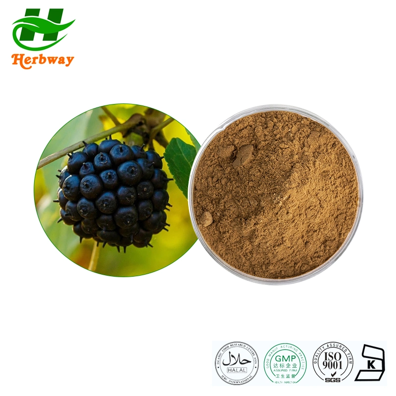 Herbway Herb Extract Free Sample Natural Feed Additives Health Ingredient Siberian Ginseng Extract