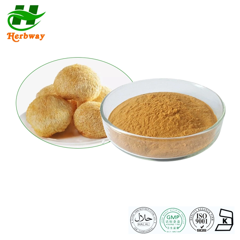 Herbway Kosher Halal Fssc HACCP Certified Free Sample Improving Immunity Hericium Erinaceus Extract