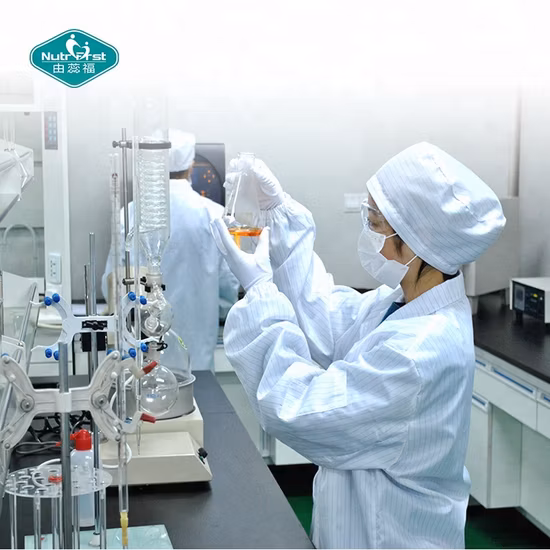 유기 사자의 갈기 버섯 식물 추출물 Hericium Erinaceus Reishi Cordyceps Militaris 버섯 초본 분말