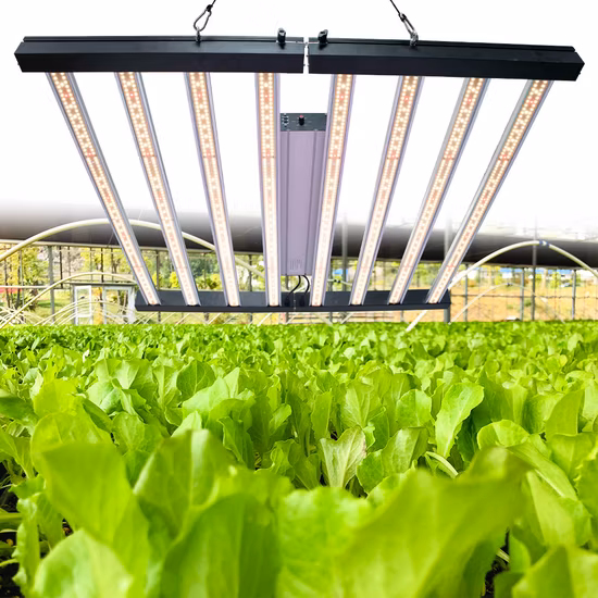 의료 식물 실내 재배 높은 Ppfd 1000W 8000W 680W 전체 스펙트럼 LED는 개화 야채 꽃을 위한 빛을 성장시킵니다